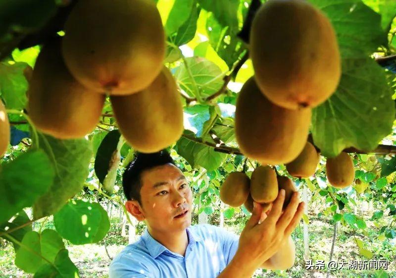 太湖县家园网最新消息-家园欢声笑语共筑美好未来