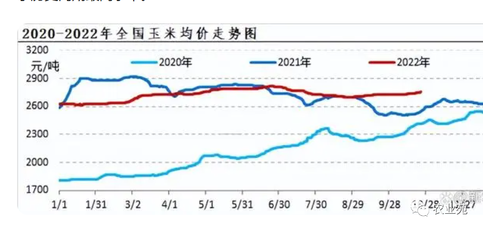 赤峰玉米市场喜讯连连，今日价格再创新高！