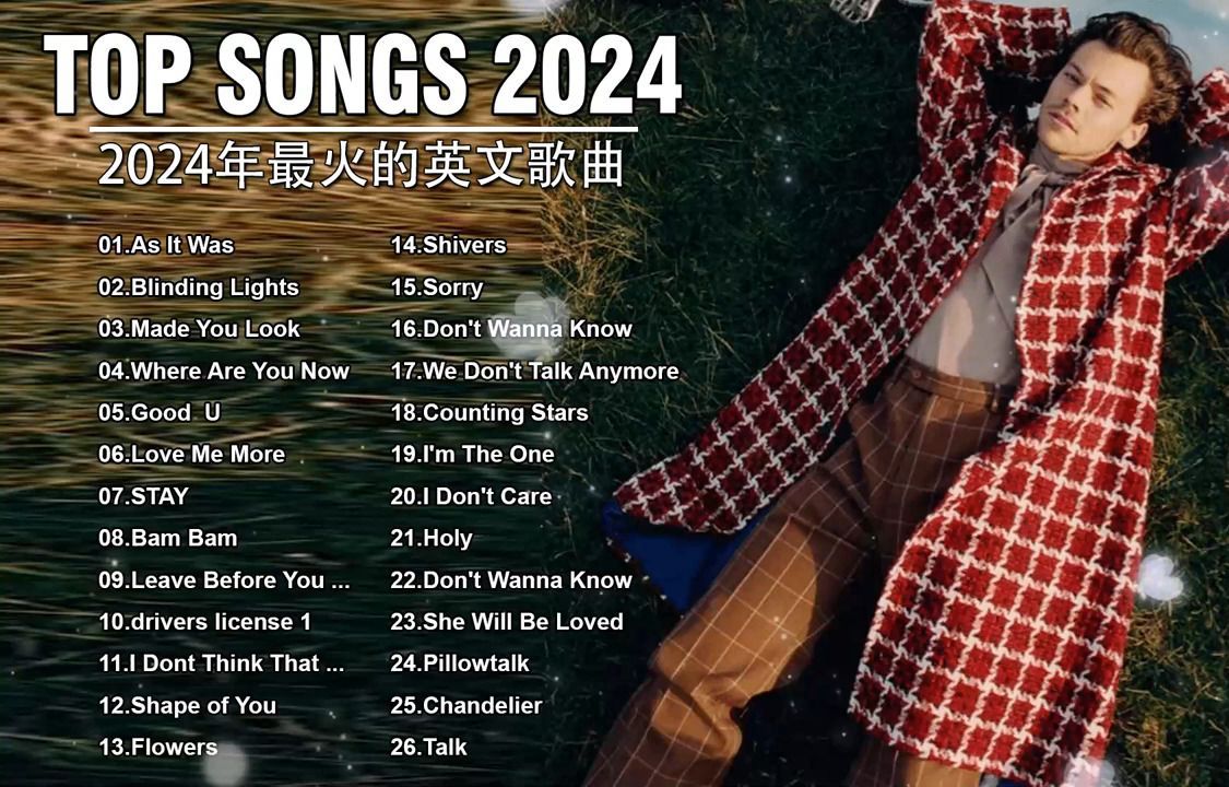 2024年度热门音乐盘点